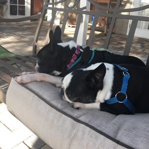 The girls want everyone to bundle for discounts!!